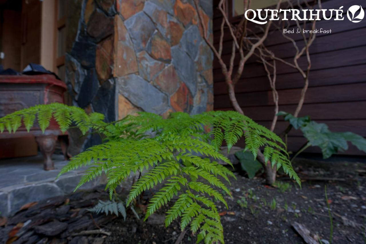 Quetrihue Bed & Breakfast Puerto Varas Eksteriør bilde